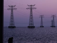 -宝安西湾红树林湿地公园