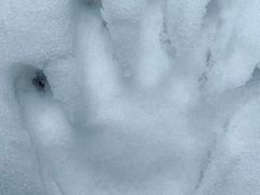 -西岭雪山大飞水景区