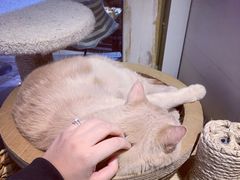 -小时光咖啡馆(开森度假森林店)