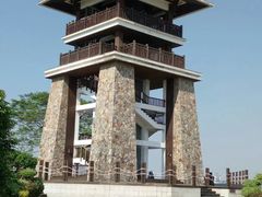 -大湾区中央湿地公园