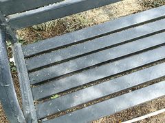 -紫颐香薰山谷景区