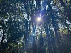 -青龙山国家森林公园