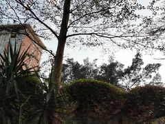 -灵玲国际马戏城