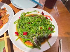 -菌自由丨野生菌火锅特色庭院餐厅(丽江古城店)