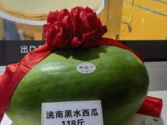 -长春农业博览园