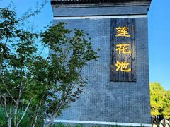 -莲花池公园