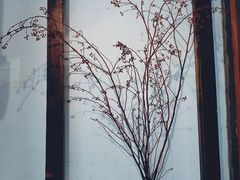 -西关84·History·Art·Cafe