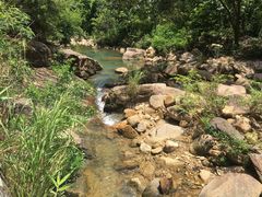 -广州白江湖森林公园