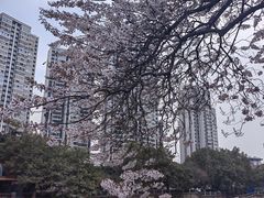 -红星桥(地铁站)