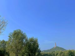 -北坞公园