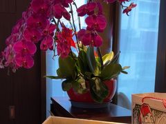 -喜湘宴·精致湖南菜(和平西桥店)