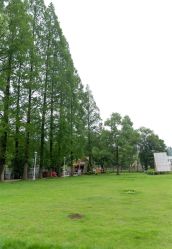 -糖果baby儿童摄影定制馆(外景店)