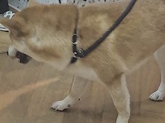 -Line 咖啡(石厦花园店)