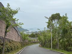 -黄贤森林公园