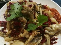 -辣蛙先生美蛙鱼头(峨眉店)