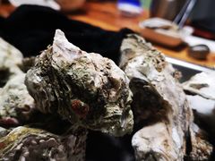 -大富蚝乌东哥饭店·石锅鱼杂·柠檬鸭(革新路店)