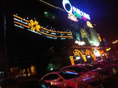 -奥体中心(地铁站)