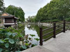 -范蠡湖公园