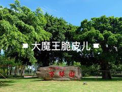 景点-万绿园