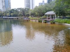 -四海公园(南山区)