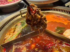 -麻路成都火锅(柏威年店)