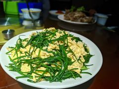 -范记靖远羊羔肉(博物馆店)