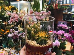 -豆豆花艺(新光天地店)