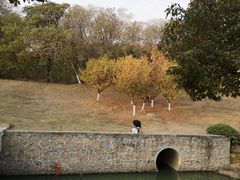 -羊山湖公园