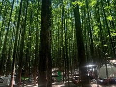 -山王坪喀斯特国家生态公园