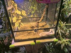 -正佳雨林生态植物园