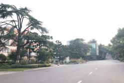 -华东饭店·园林式婚礼宴会厅酒店