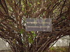 -北京鲁迅博物馆(北京新文化运动纪念馆鲁博馆区)