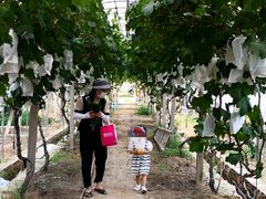 -美家乐农庄·露营·团建(大治路店)