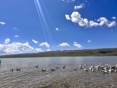 -青海湖国家重点风景名胜区