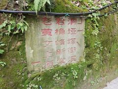 -黄葛古道