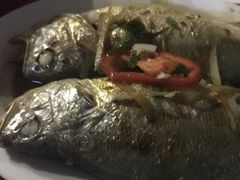 -蛇口康乐快餐鱼仔档(翠苑小区店)