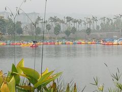 -枫香湖儿童公园