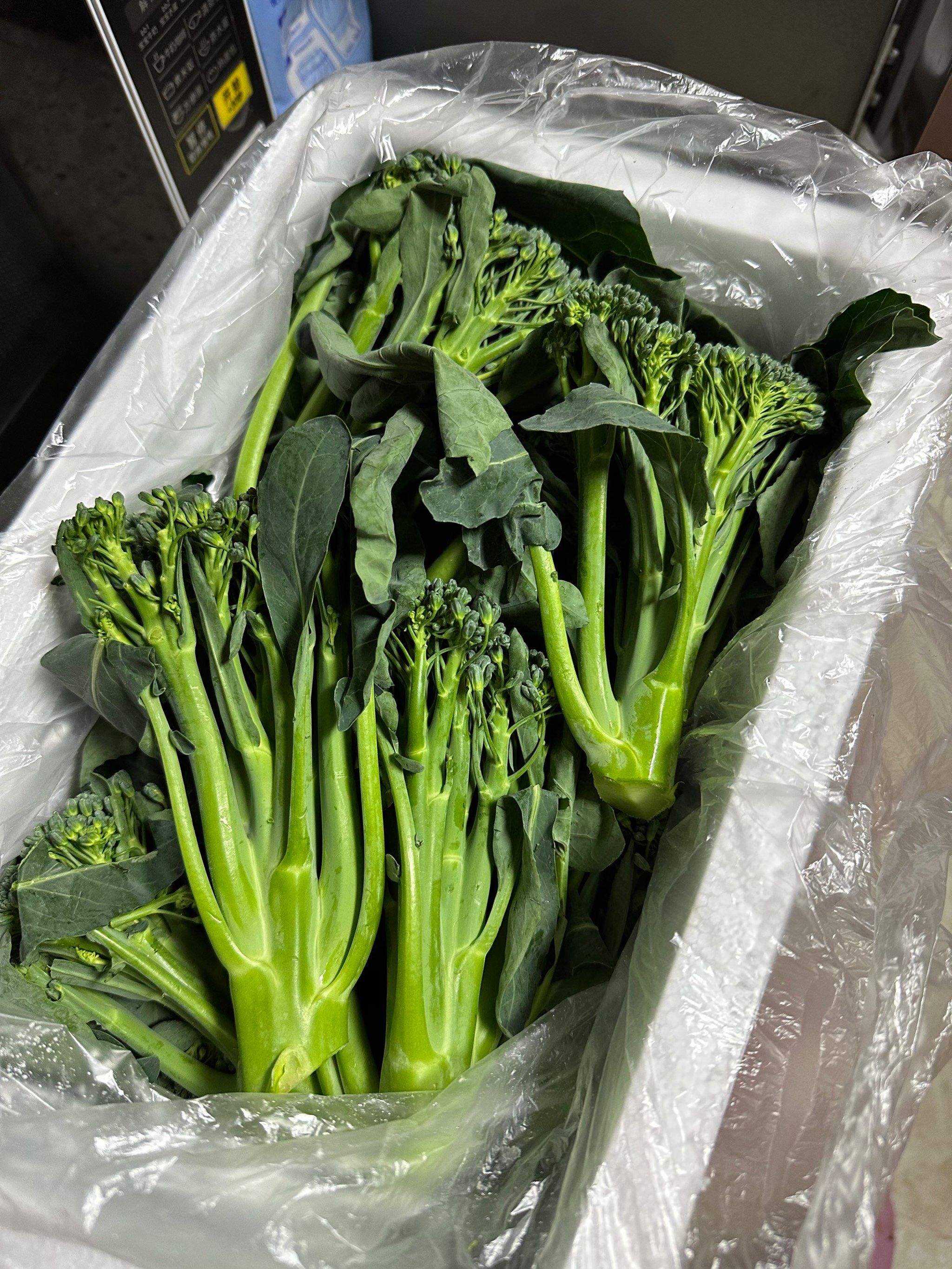 好吃的菜苔