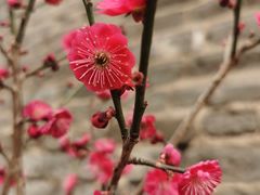 -北京明城墙遗址公园