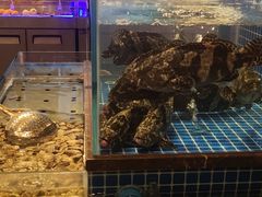 水产区-百富源·海鲜辽菜(浑河堡店)