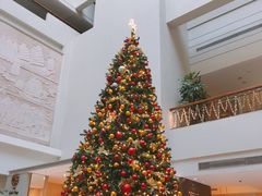 -马哥孛罗咖啡厅·Cafe Marco (厦门马哥孛罗东方大酒店)