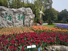 -上海鲜花港