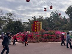 -攀枝花公园