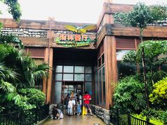 -雨林餐厅(长隆海洋王国店)
