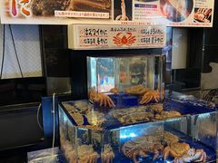 -蟹道乐(道顿堀本店)