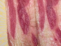 -AJIYA·池袋日式烧肉自助(天津万象城店)