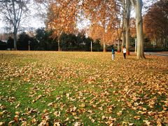 -河南省黄河迎宾馆