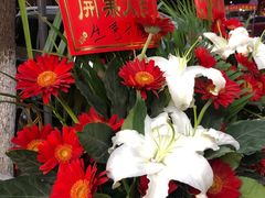 -蜀滋香鲜鱼美蛙火锅(339店)