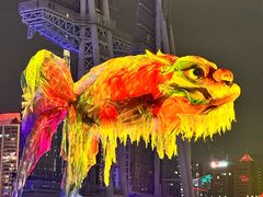 -海心沙亚运公园
