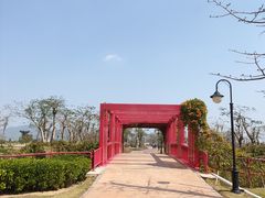 -芒洲湿地公园